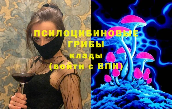 дживик Баксан