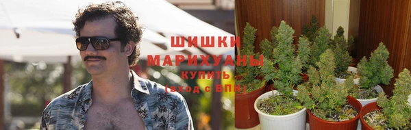круглые Арсеньев