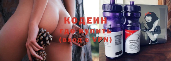 молекула духа Балахна