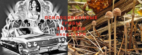 дживик Баксан