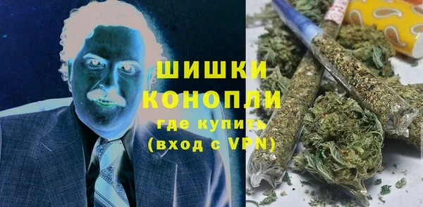 молекула духа Балахна
