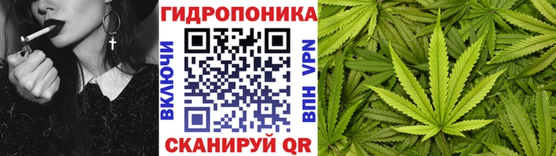 Конопля ГИДРОПОН  даркнет сайт  Верхотурье 
